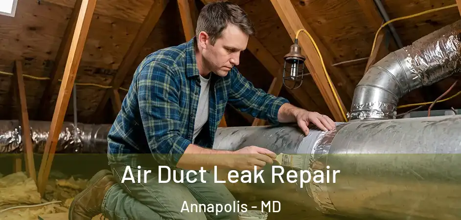  Air Duct Leak Repair Annapolis - MD