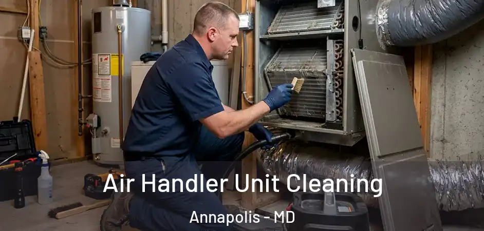 Air Handler Unit Cleaning Annapolis - MD