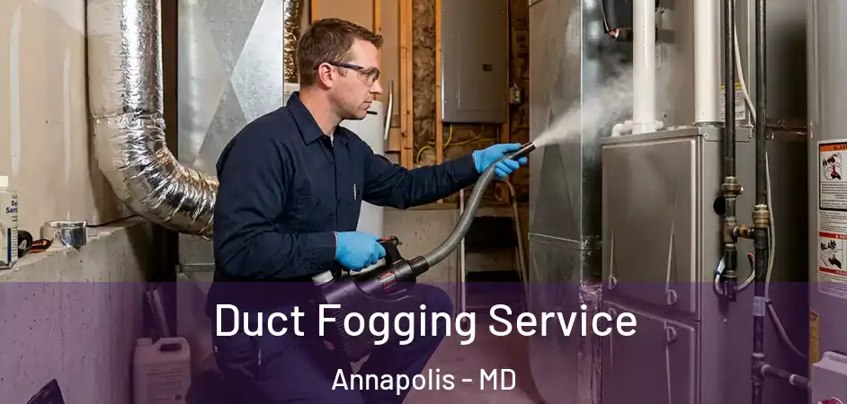  Duct Fogging Service Annapolis - MD