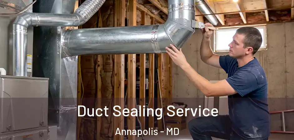  Duct Sealing Service Annapolis - MD