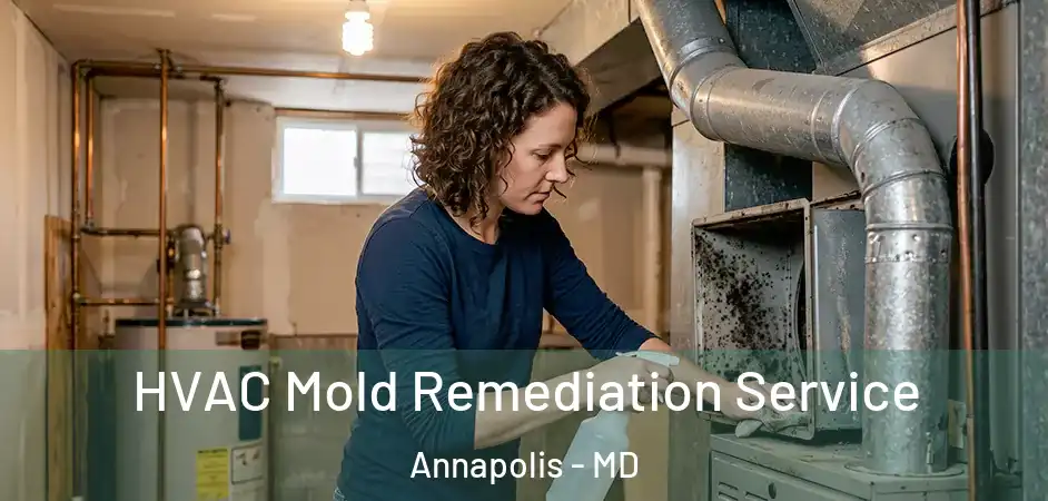  HVAC Mold Remediation Service Annapolis - MD