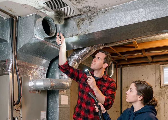 Premier HVAC Mold Remediation Company in Annapolis