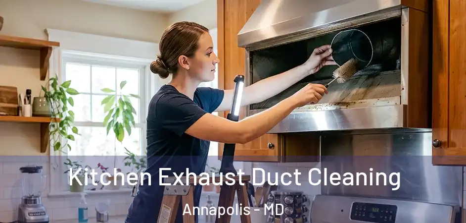  Kitchen Exhaust Duct Cleaning Annapolis - MD